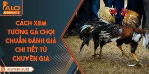 cach-xem-tuong-ga-choi-chuan