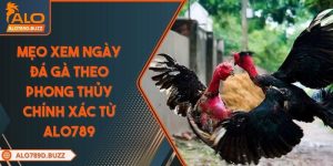 meo-xem-ngay-da-ga-theo-phong-thuy