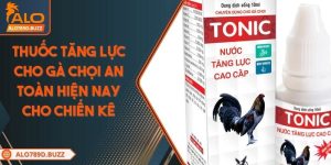 thuoc-tang-luc-cho-ga-choi-an-toan