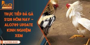 truc-tiep-da-ga-s128-hom-nay