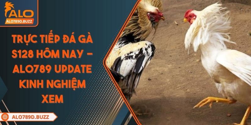 truc-tiep-da-ga-s128-hom-nay